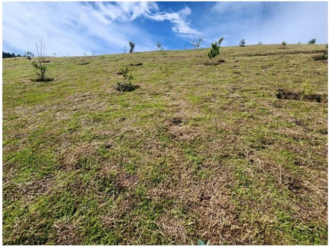 Lote en venta en Guarne, 2825 m² · foto 2 de 24
