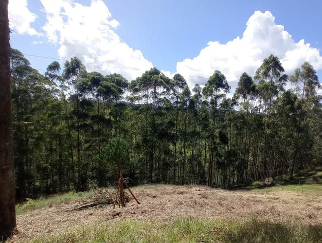 Lote en venta en Pantanillo, El Retiro, 1900 m² · foto 6 de 11