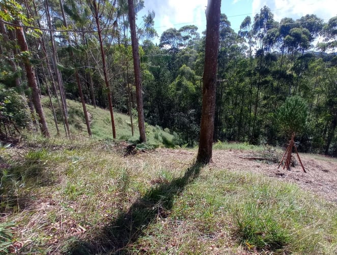 Lote en venta en Pantanillo, El Retiro, 1900 m² · foto 5 de 11
