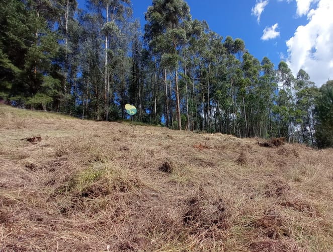 Lote en venta en Pantanillo, El Retiro, 1900 m² · foto 4 de 11