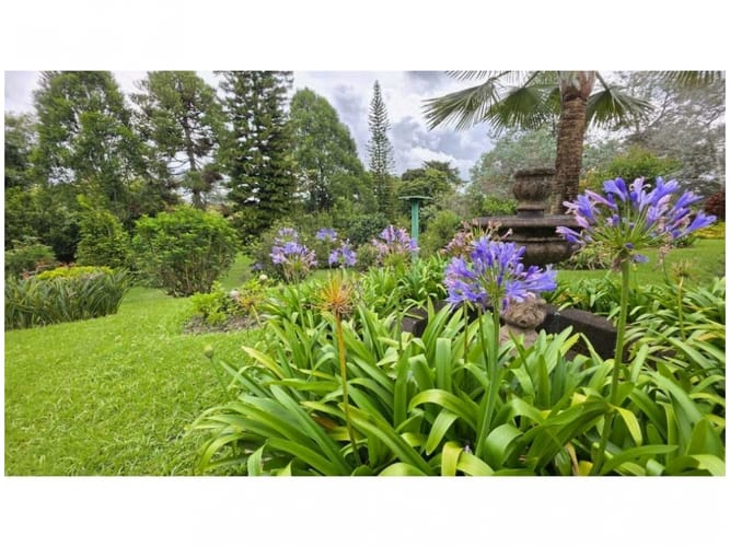 Finca en venta en Sajonia, Rionegro, 213 m² · foto 4 de 14