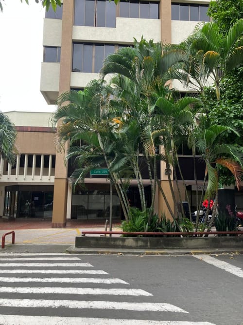 Local en venta en Versalles, Cali, 312 m² · foto 2 de 12