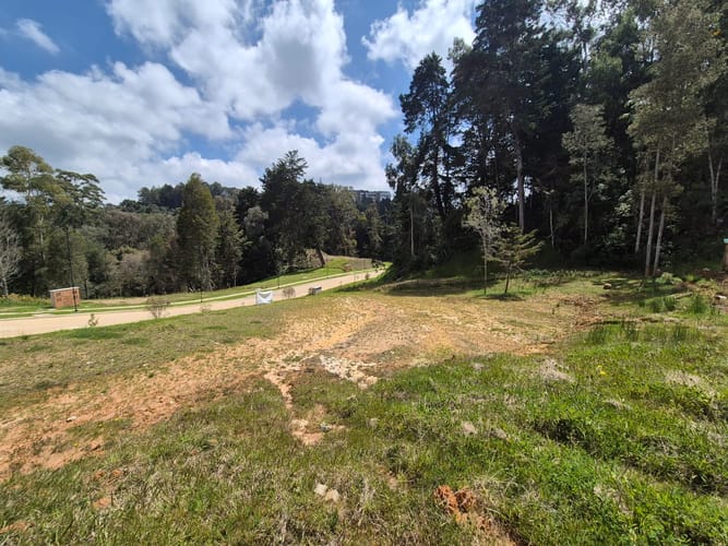 Lote en venta en Vía Las Palmas, Envigado, 1006 m² · foto 7 de 7
