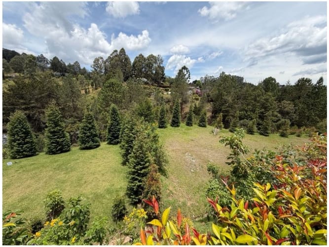 Lote en venta en Pantanillo, El Retiro, 2833 m² · foto 3 de 8