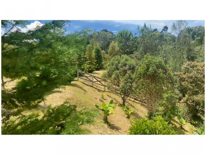 Lote en venta en Pantanillo, El Retiro, 2833 m² · foto 4 de 8