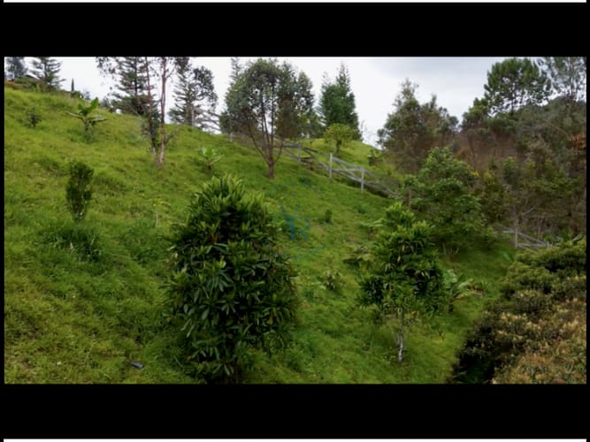 Lote en venta en Pantanillo, El Retiro, 2833 m² · foto 8 de 8