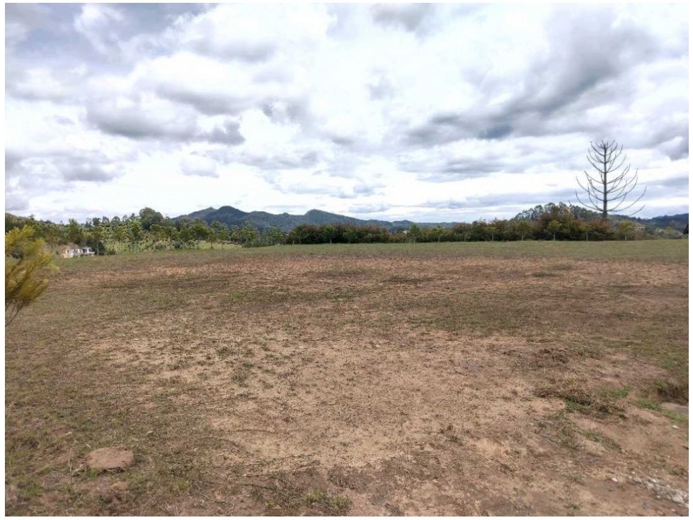 Land in Lejos del nido (3563 m²) for Sale - 2