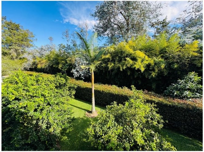 Casa de 6 alcobas en venta en Llano Grande, Rionegro · foto 6 de 24