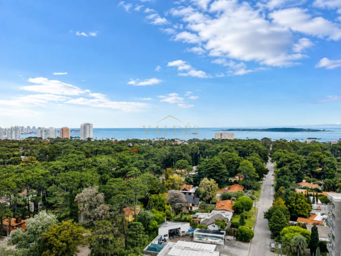 Venta y alquiler anual de amplio apartamento de tres dormitorios completamente reciclado sobre Roosevelt, Punta del Este · Foto 2