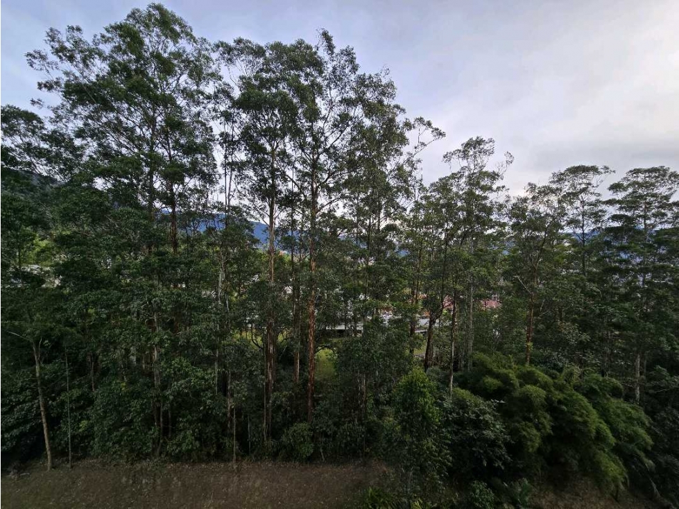 Apartamento en venta en Los Balsos, Medellín · foto 7 de 24