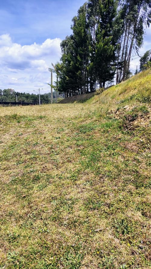 Lote en venta en Vía Las Palmas, Envigado, 967 m² · foto 2 de 24