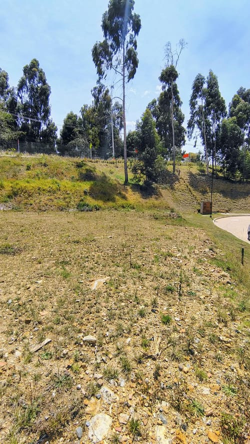 Lote en venta en Vía Las Palmas, Envigado, 967 m² · foto 6 de 24