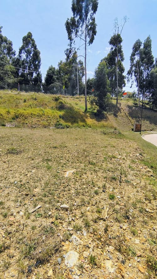 Lote en venta en Vía Las Palmas, Envigado, 967 m² · foto 7 de 24