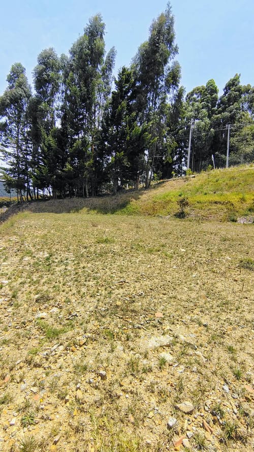 Lote en venta en Vía Las Palmas, Envigado, 967 m² · foto 8 de 24