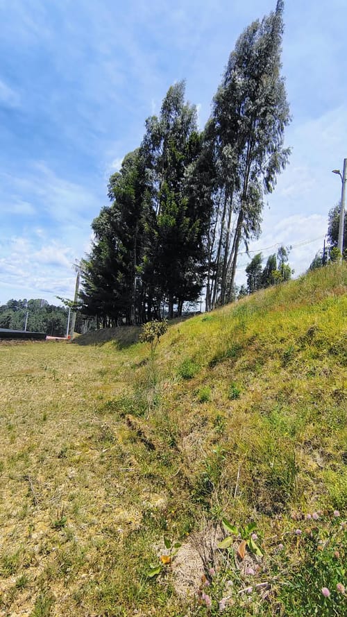 Lote en venta en Vía Las Palmas, Envigado, 967 m² · foto 15 de 24