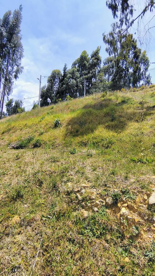 Lote en venta en Vía Las Palmas, Envigado, 967 m² · foto 17 de 24