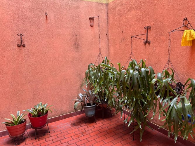 Casa de 5 alcobas en venta en Caney, Cali, 260 m² · foto 6 de 23
