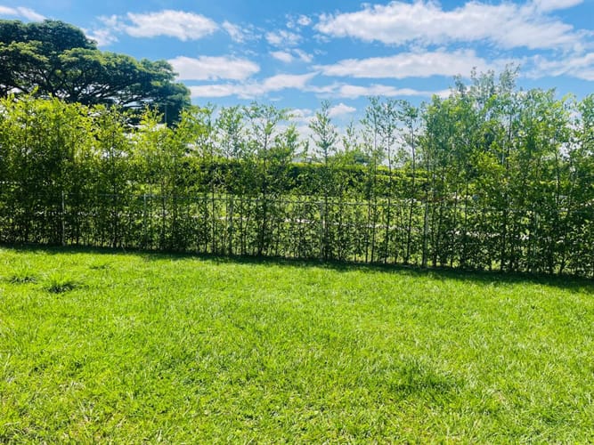 Casa de 3 alcobas en venta en La Morada, Jamundí, 140 m² · foto 18 de 20