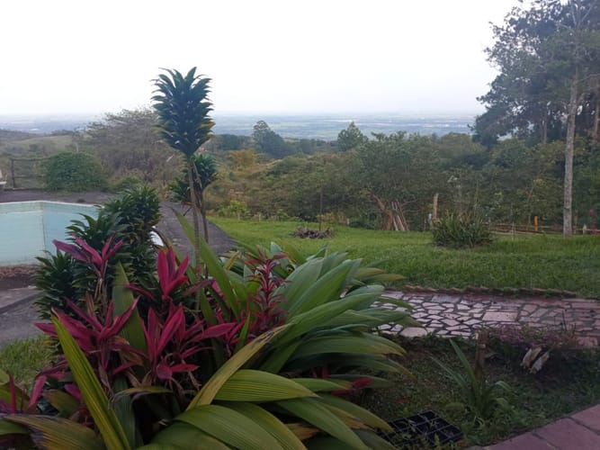 Finca en venta en Pance, Cali, 31000 m² · foto 4 de 17