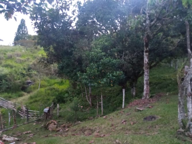 Finca en venta en Pance, Cali, 31000 m² · foto 7 de 17