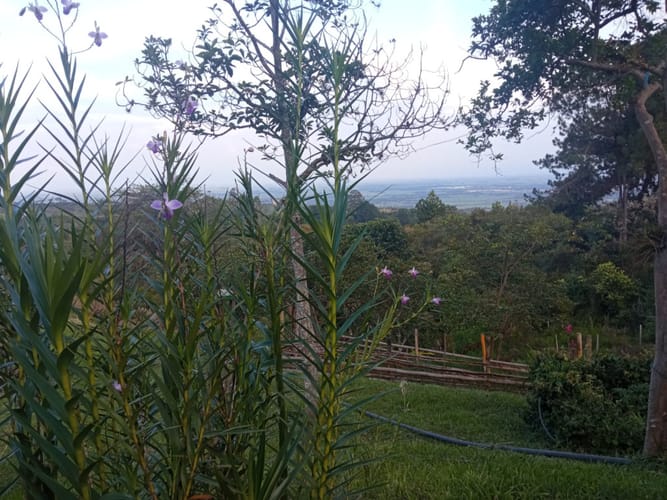 Finca en venta en Pance, Cali, 31000 m² · foto 8 de 17