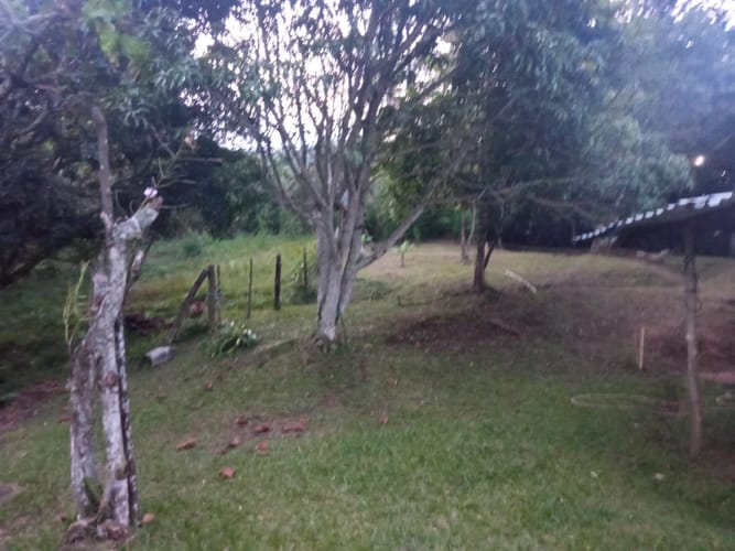 Finca en venta en Pance, Cali, 31000 m² · foto 9 de 17