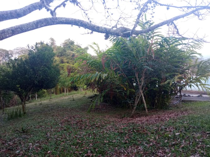Finca en venta en Pance, Cali, 31000 m² · foto 11 de 17