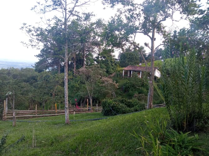 Finca en venta en Pance, Cali, 31000 m² · foto 12 de 17