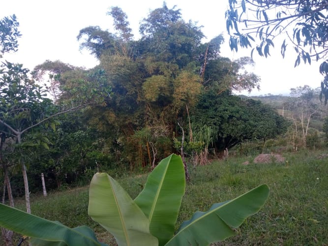 Finca en venta en Pance, Cali, 31000 m² · foto 13 de 17