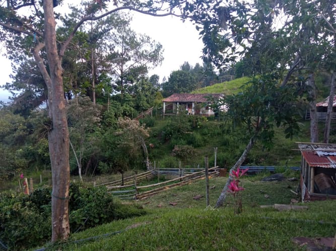 Finca en venta en Pance, Cali, 31000 m² · foto 16 de 17