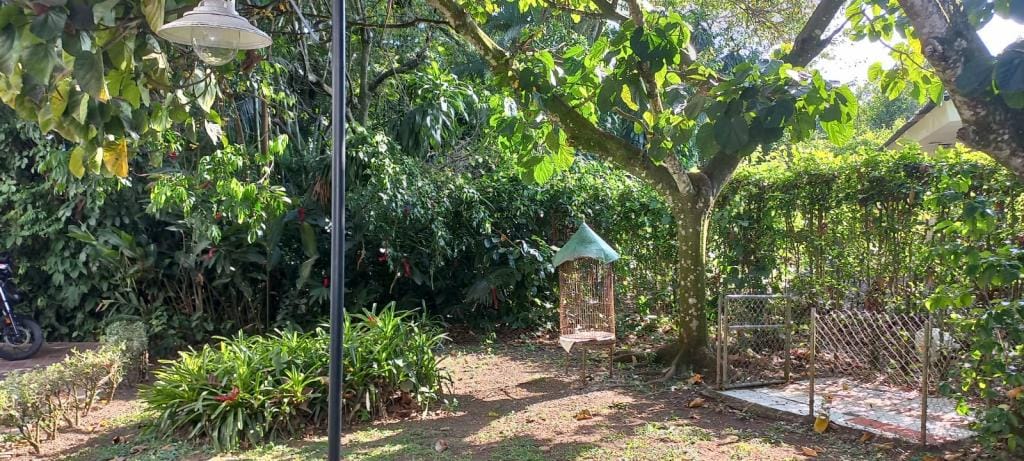 Casa de 6 alcobas en venta en Pance, Cali, 400 m² · foto 16 de 24