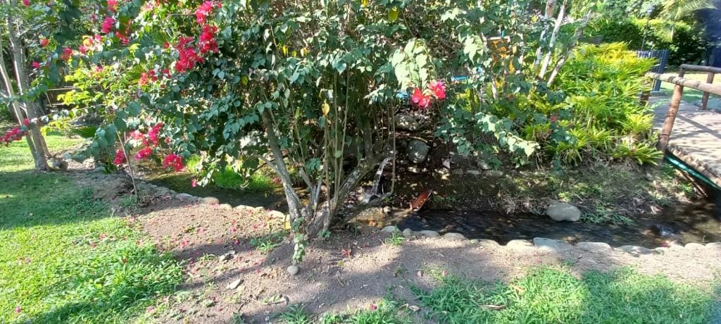 Casa de 6 alcobas en venta en Pance, Cali, 400 m² · foto 18 de 24