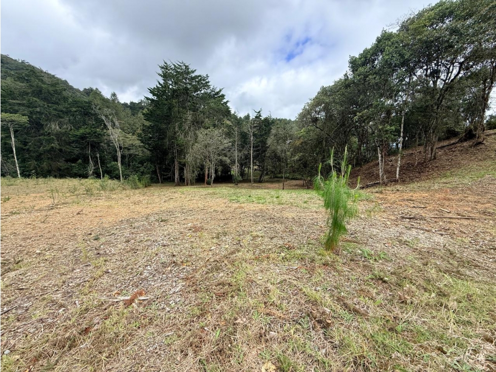 Land in El chuscal (1533 m²) for Sale