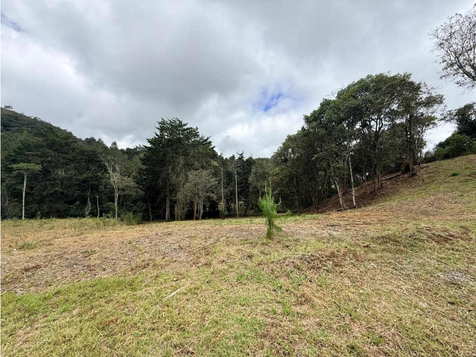 Land in El chuscal (1533 m²) for Sale - 2