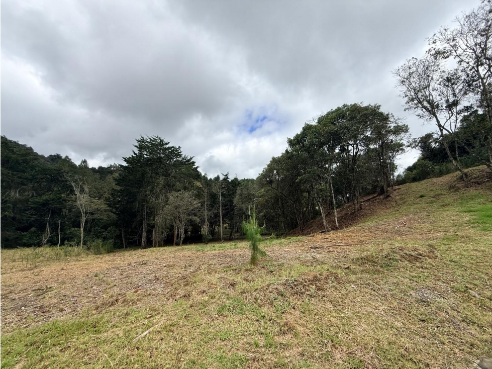 Land in El chuscal (1533 m²) for Sale - 3