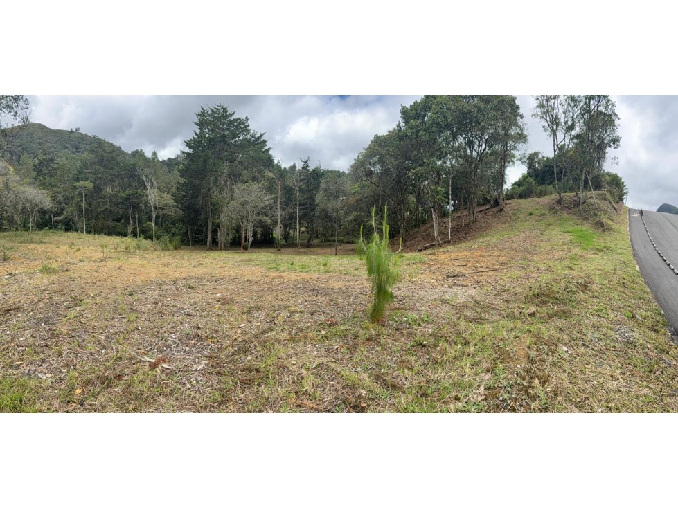 Land in El chuscal (1533 m²) for Sale - 4