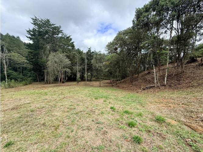 Lote en venta en El Chuscal, El Retiro, 1533 m² · foto 5 de 24