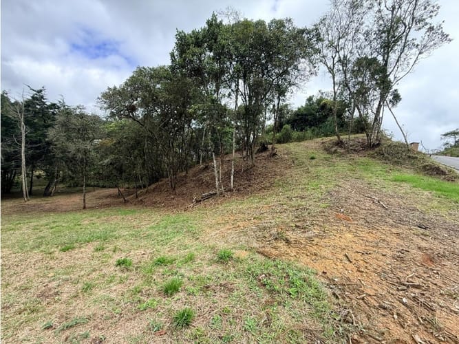 Lote en venta en El Chuscal, El Retiro, 1533 m² · foto 6 de 24