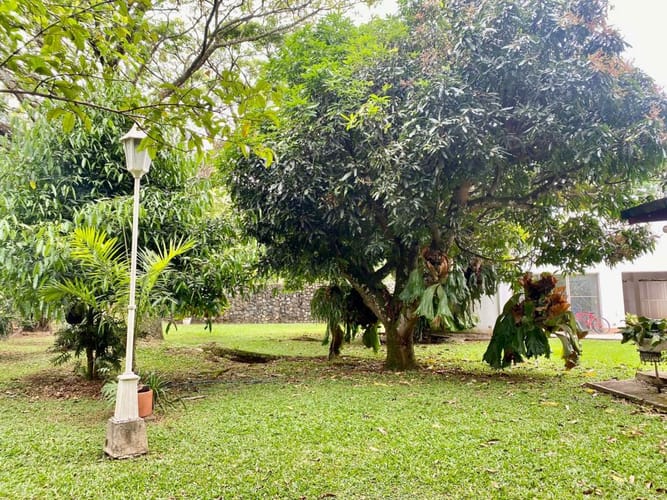 Casa de 6 alcobas en venta en Pance, Cali, 750 m² · foto 8 de 17