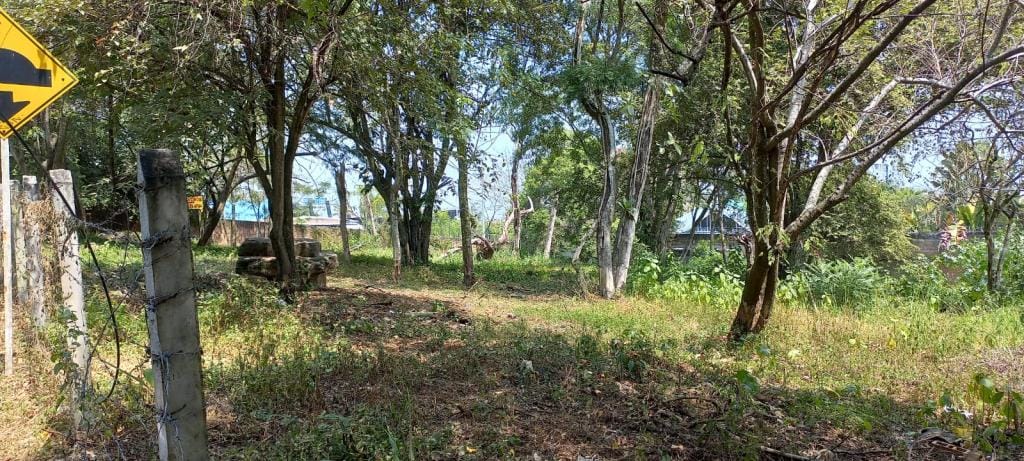 Lote en venta en Pance, Cali · foto 2 de 10