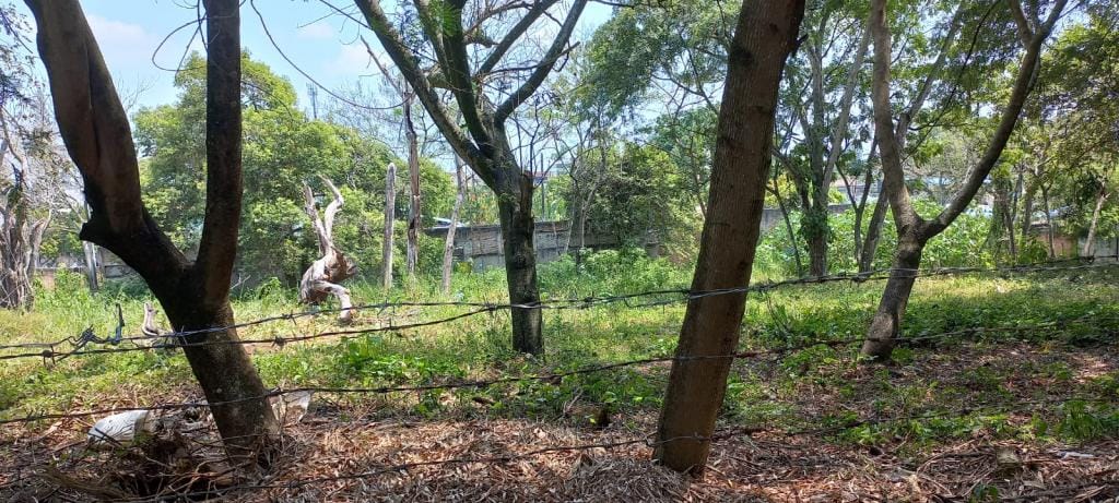 Lote en venta en Pance, Cali · foto 3 de 10