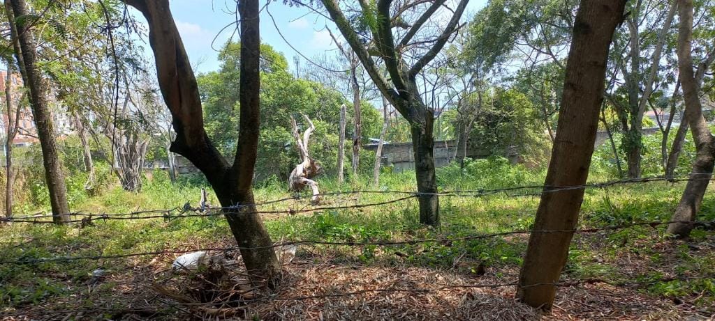 Lote en venta en Pance, Cali · foto 4 de 10