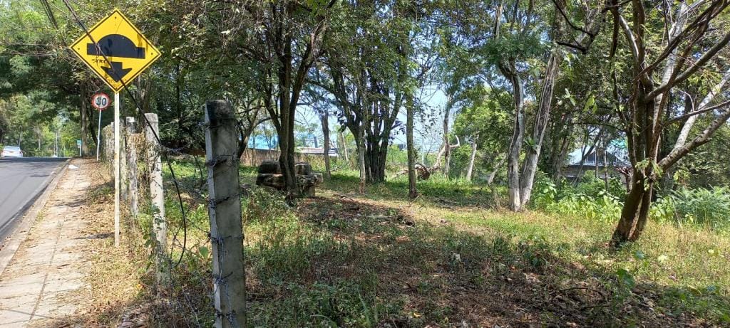 Lote en venta en Pance, Cali · foto 5 de 10
