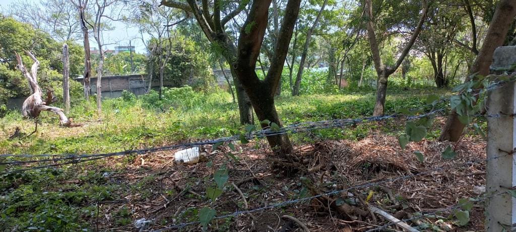 Lote en venta en Pance, Cali · foto 6 de 10