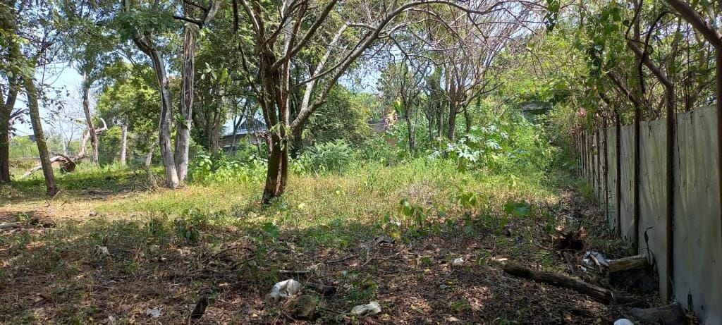 Lote en venta en Pance, Cali · foto 7 de 10