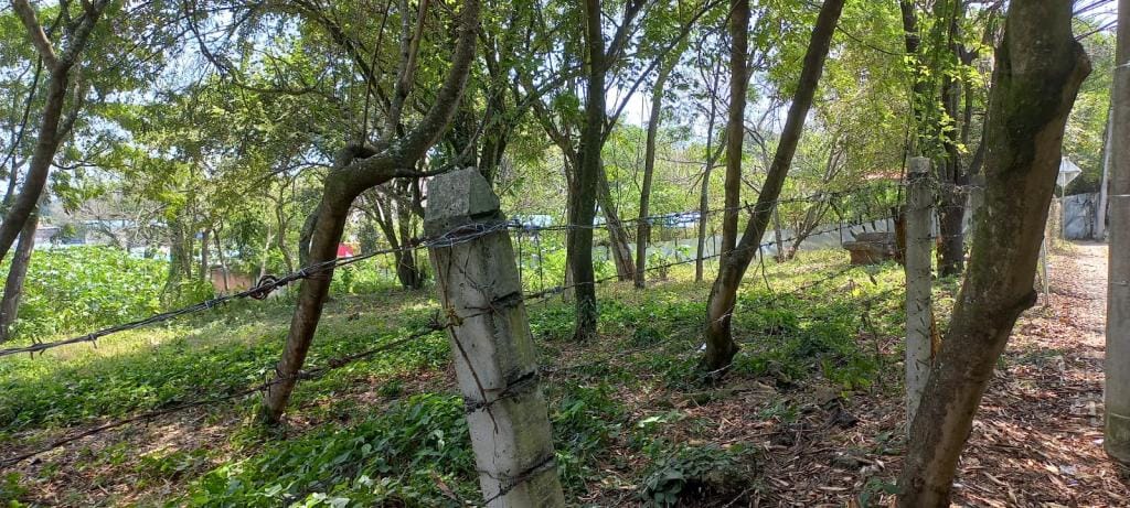 Lote en venta en Pance, Cali · foto 8 de 10