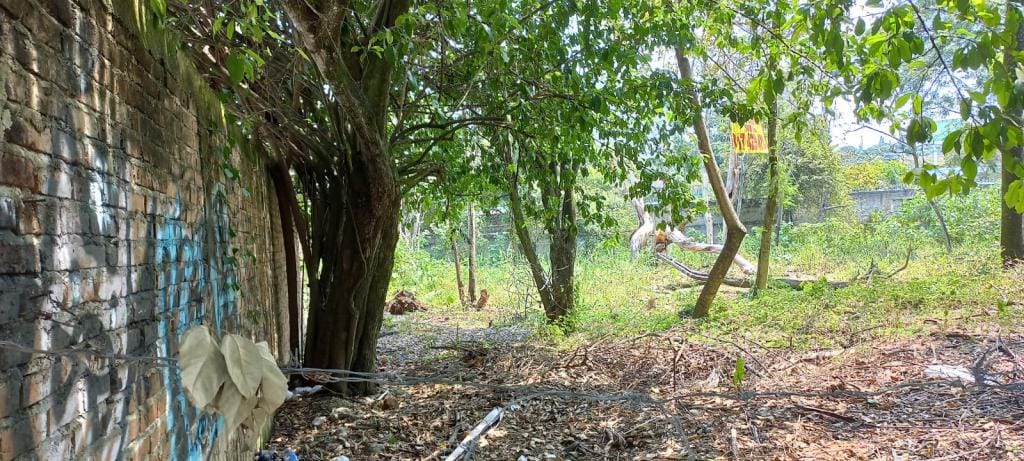 Lote en venta en Pance, Cali · foto 9 de 10