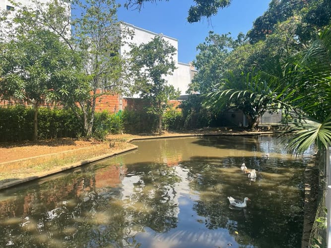 Lote en venta en Las Mercedes, Jamundí, 225 m² · foto 9 de 11