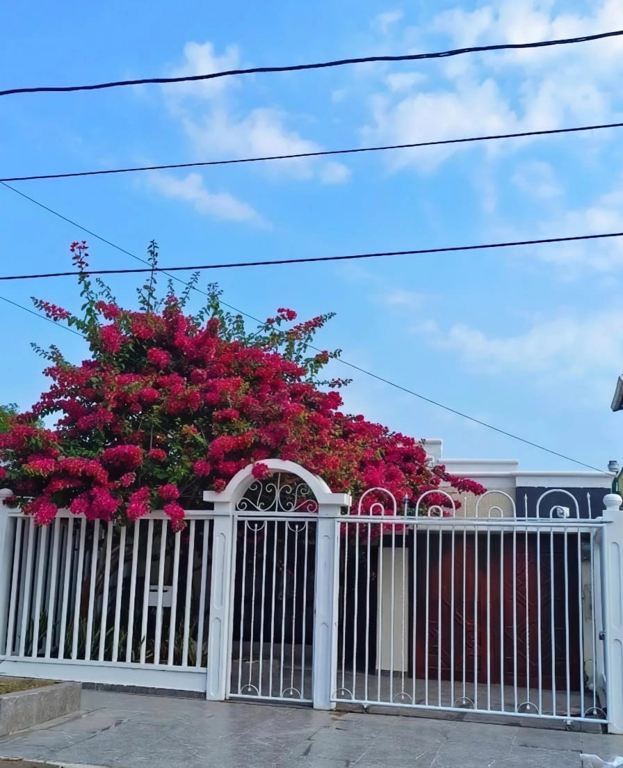 Casa en venta en Paraiso, Barranquilla · foto 4 de 18