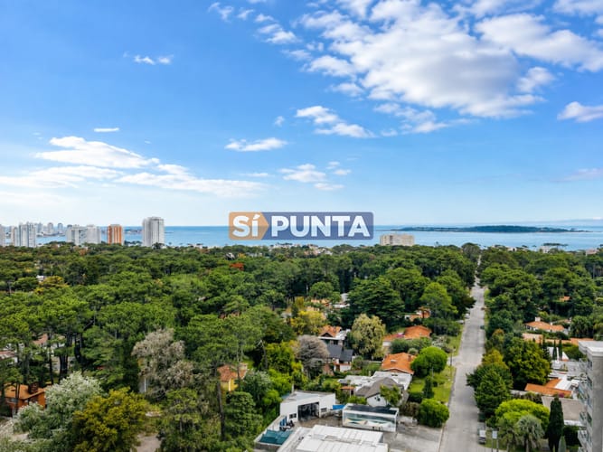 Venta y alquiler anual de amplio apartamento de tres dormitorios completamente reciclado sobre Roosevelt, Punta del Este · Foto 2